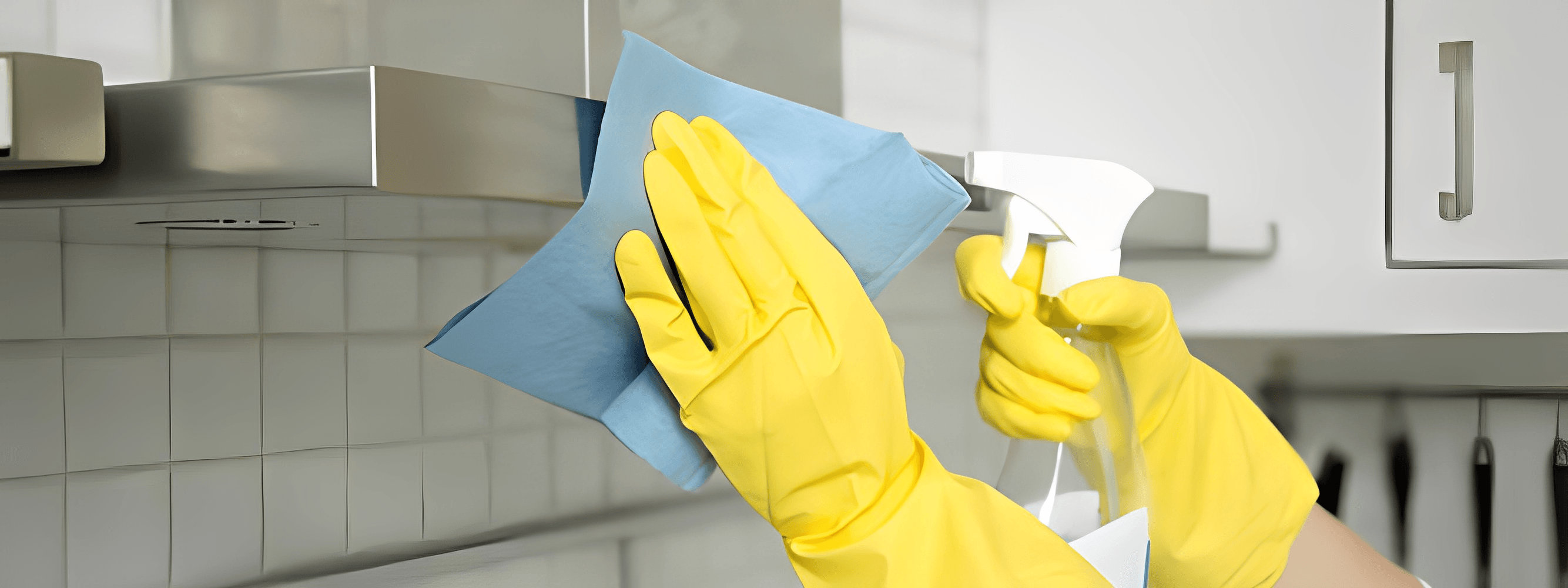 Kitchen Cleaning Image